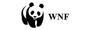 WNF